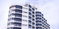 䂪ӂ